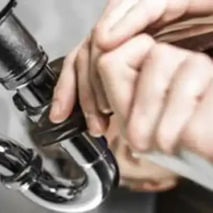 Beez Neez Plumbing 2