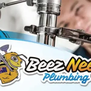 Beez Neez Plumbing 3